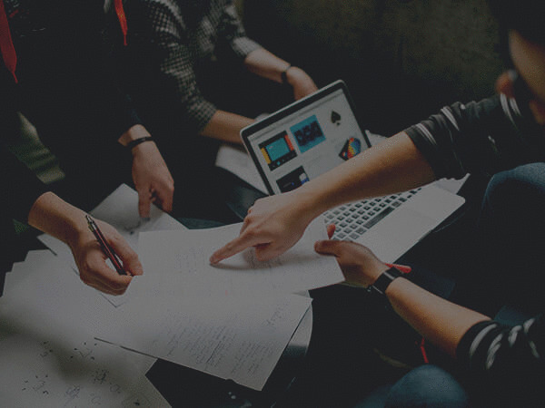 Website and Web Application Development 